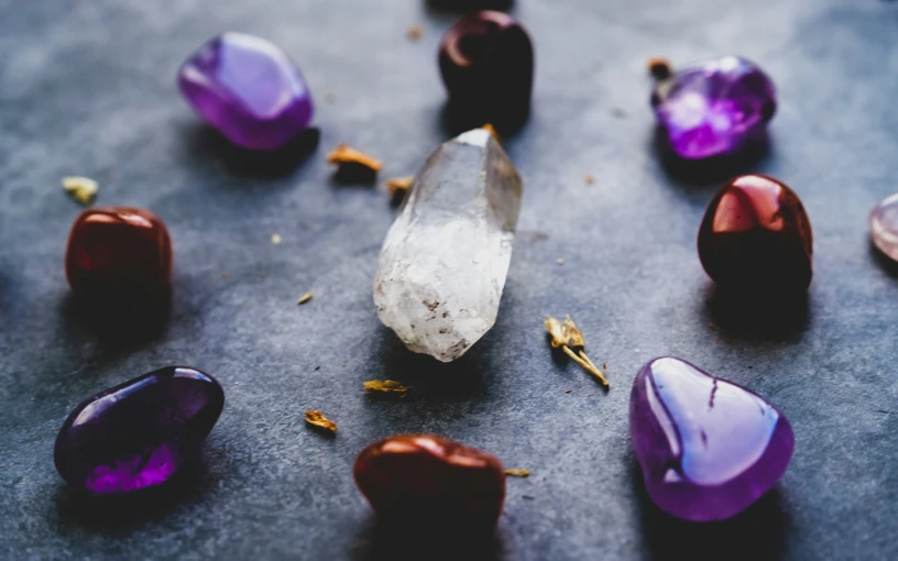 Chronicles of Curiosity: Unveiling Hidden Gems