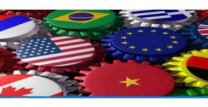 What is a multinational company – Concept, organizational structure, roles and goals of a multinational company